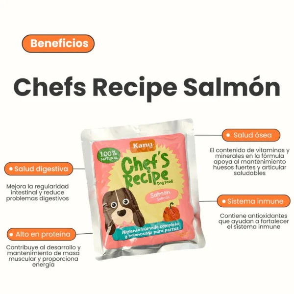 KANU PET PERROS- Chef's Recipe Salmón (300 g) - Image 4