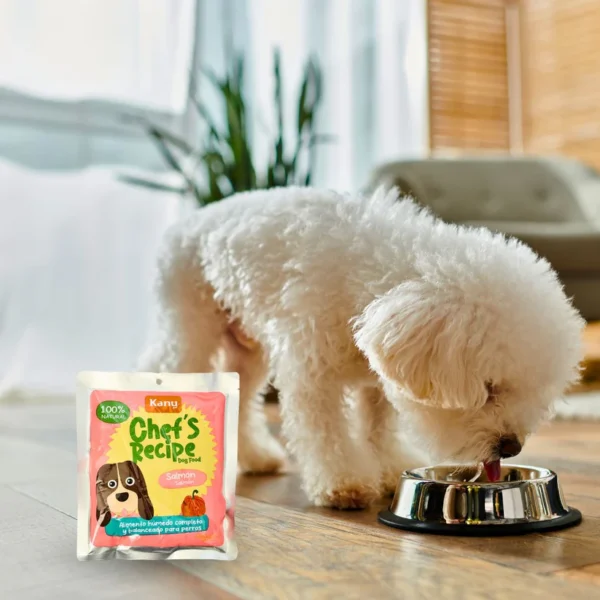KANU PET PERROS- Chef's Recipe Salmón (300 g) - Image 3