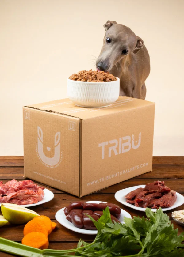 TRIBU PERROS - De la Sabana - Image 2